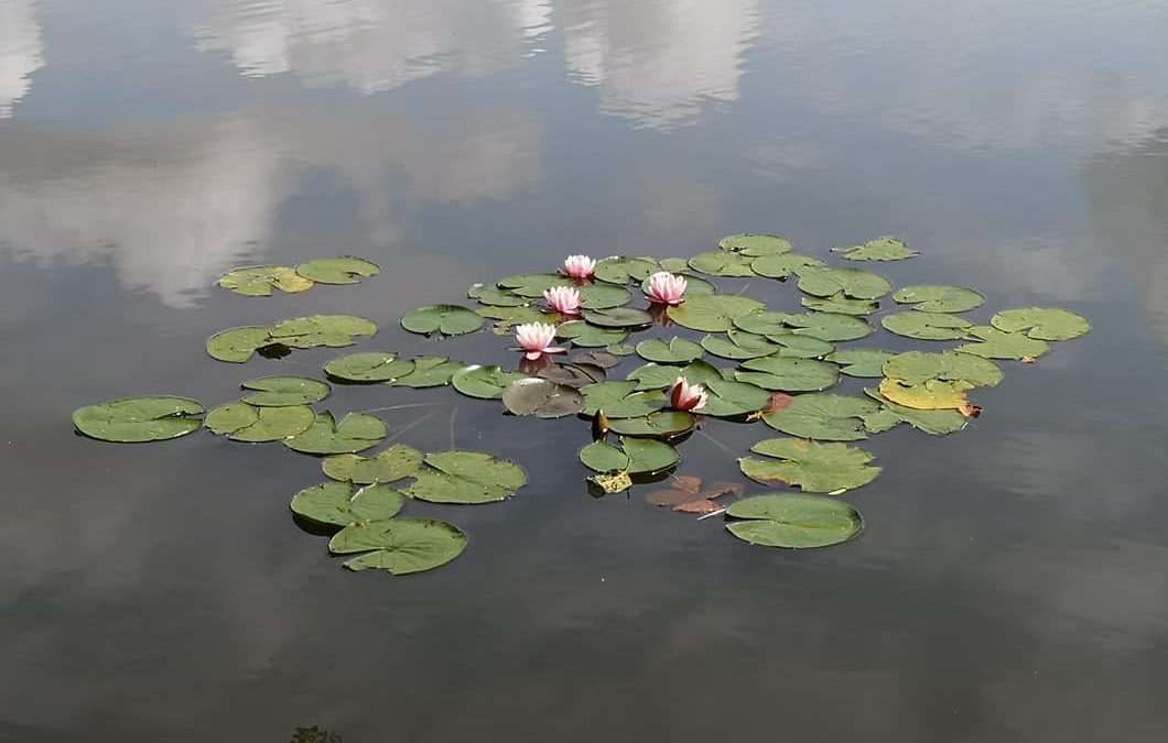 Wainsford Lake