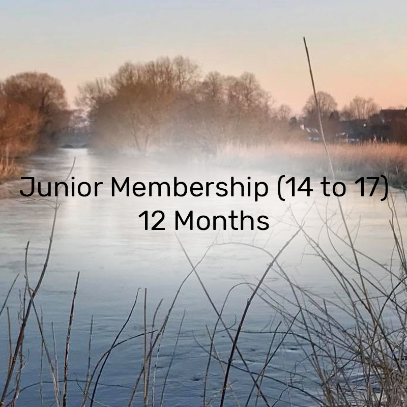 Junior Membership